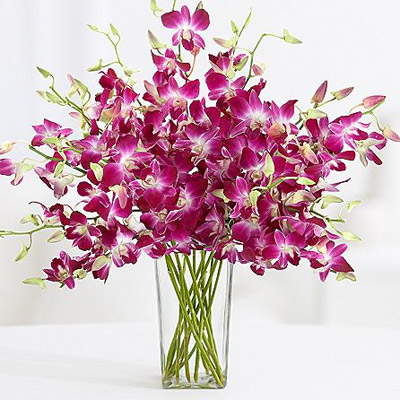 Пурпурные орхидеи, 30 шт