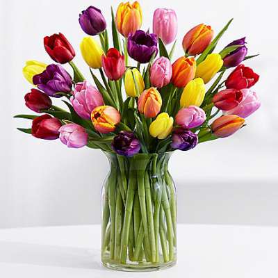 Разноцветные тюльпаны, 30 шт